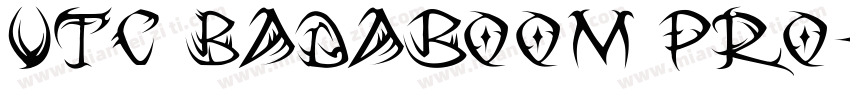 VTC Badaboom Pro字体转换